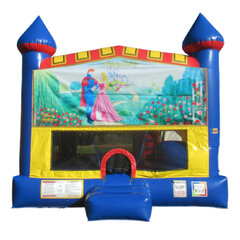 Sleeping Beauty 5-in-1 Combo